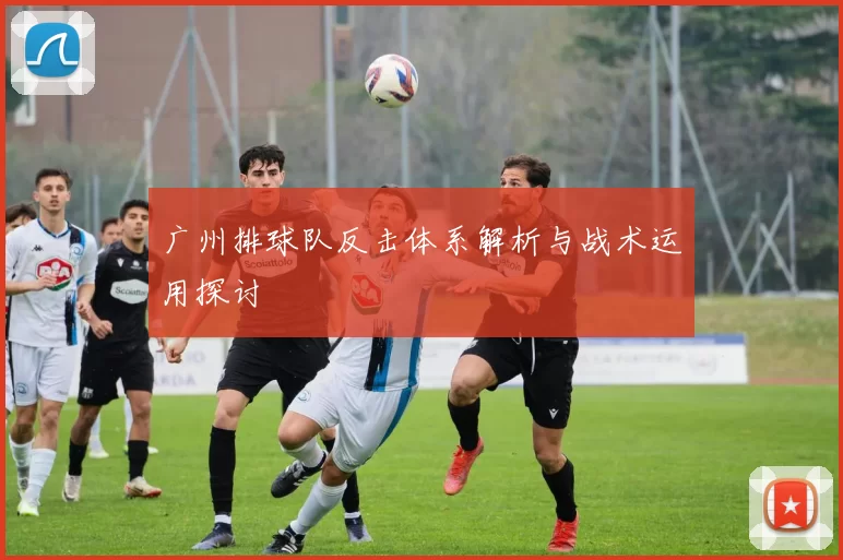 广州排球队反击体系解析与战术运用探讨