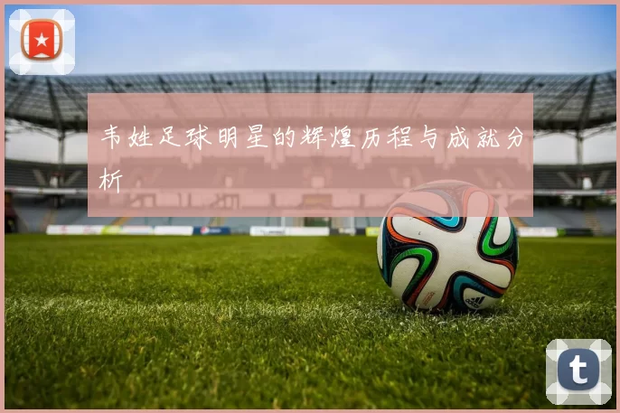 韦姓足球明星的辉煌历程与成就分析