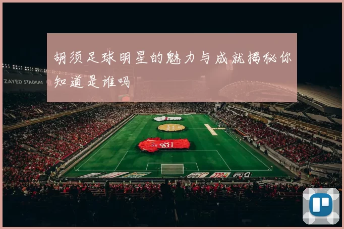 胡须足球明星的魅力与成就揭秘你知道是谁吗