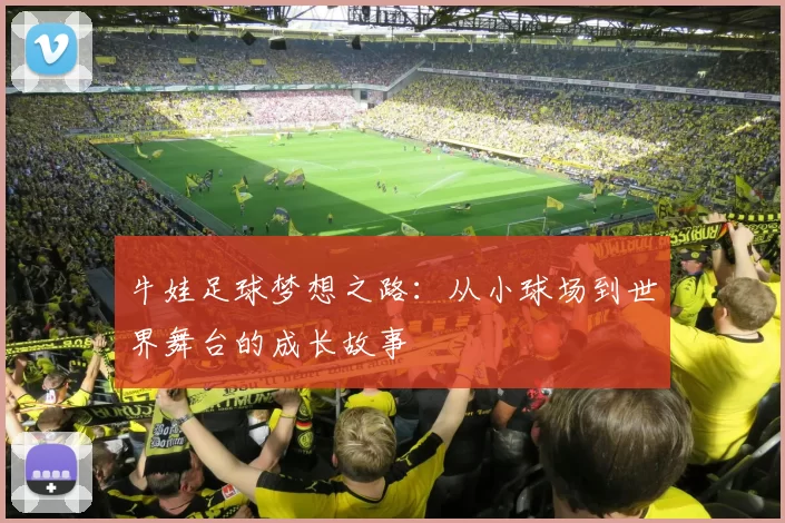 牛娃足球梦想之路：从小球场到世界舞台的成长故事