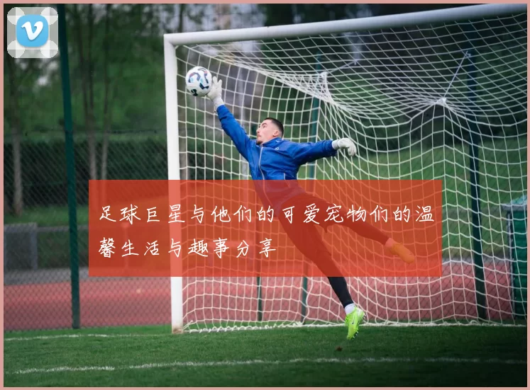 足球巨星与他们的可爱宠物们的温馨生活与趣事分享