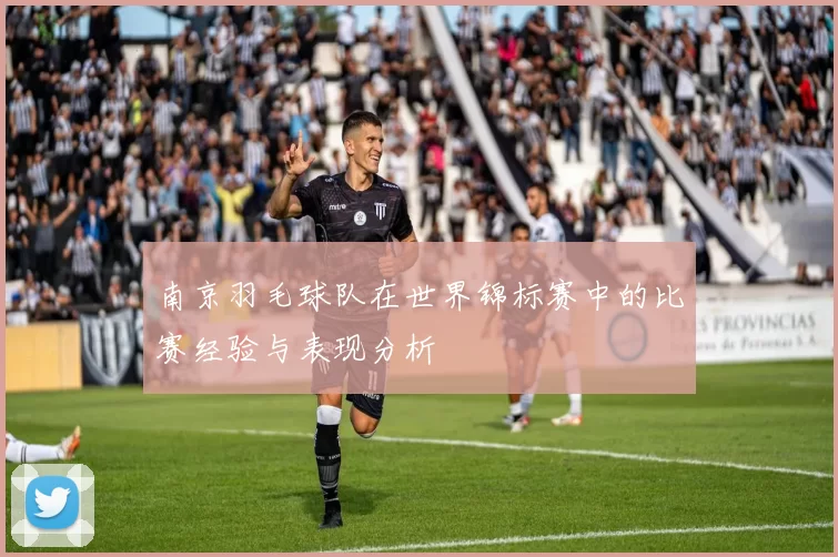 南京羽毛球队在世界锦标赛中的比赛经验与表现分析