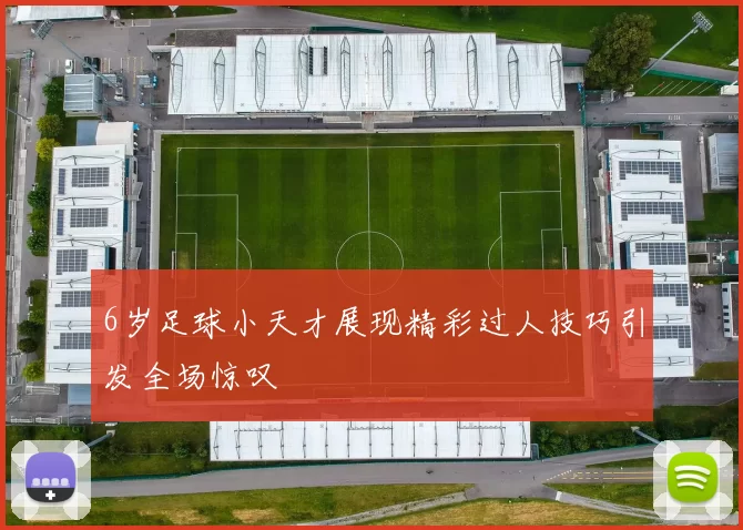 6岁足球小天才展现精彩过人技巧引发全场惊叹