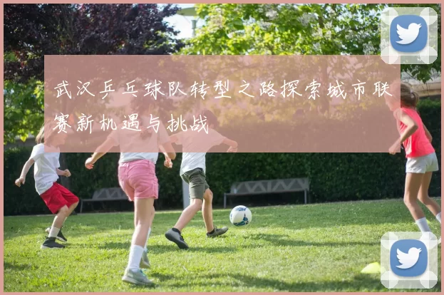 武汉乒乓球队转型之路探索城市联赛新机遇与挑战