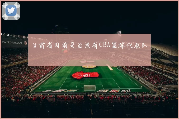 甘肃省目前是否设有CBA篮球代表队