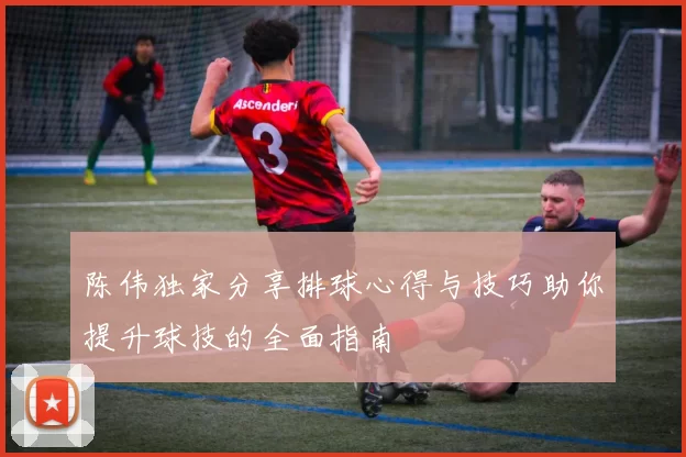 陈伟独家分享排球心得与技巧助你提升球技的全面指南