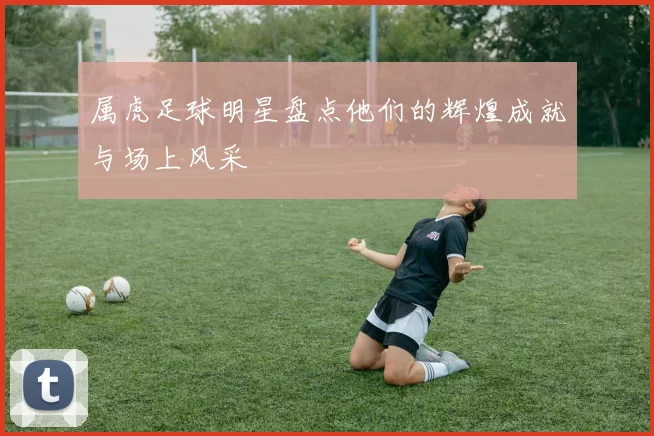 属虎足球明星盘点他们的辉煌成就与场上风采