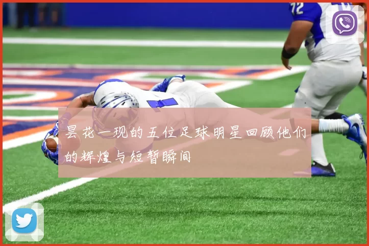 昙花一现的五位足球明星回顾他们的辉煌与短暂瞬间