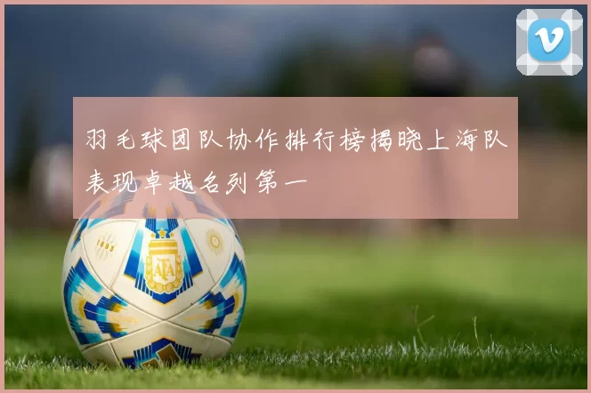羽毛球团队协作排行榜揭晓上海队表现卓越名列第一