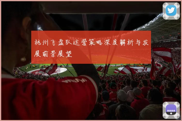 杭州飞盘队运营策略深度解析与发展前景展望