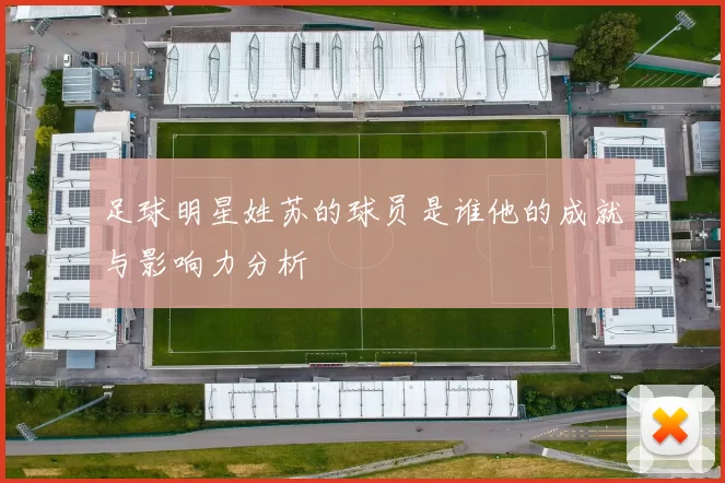 足球明星姓苏的球员是谁他的成就与影响力分析