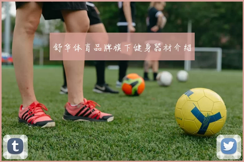 舒华体育品牌旗下健身器材介绍