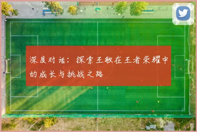深度对话：探索王敏在王者荣耀中的成长与挑战之路