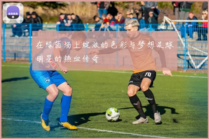在绿茵场上绽放的色彩与梦想足球明星的热血传奇