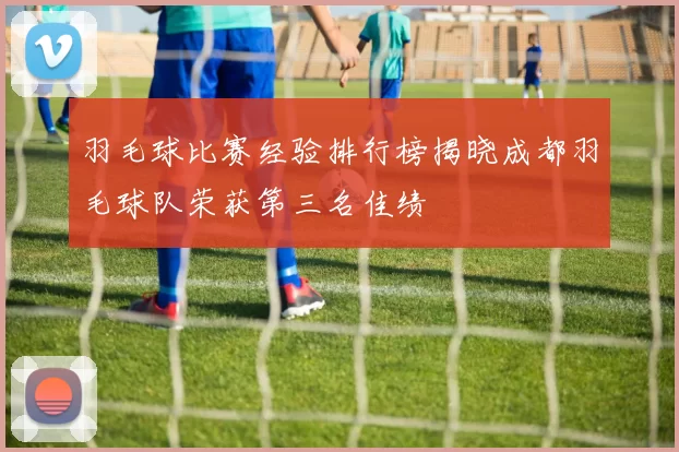 羽毛球比赛经验排行榜揭晓成都羽毛球队荣获第三名佳绩