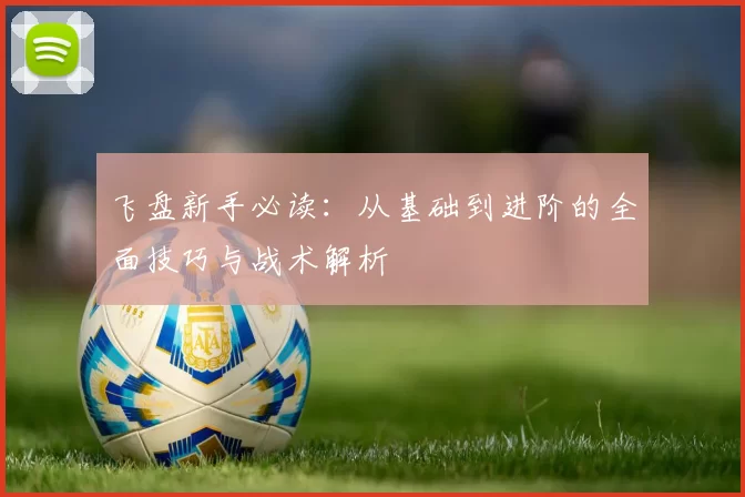 飞盘新手必读：从基础到进阶的全面技巧与战术解析