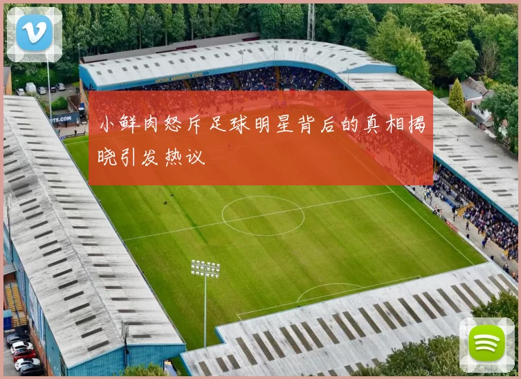 小鲜肉怒斥足球明星背后的真相揭晓引发热议
