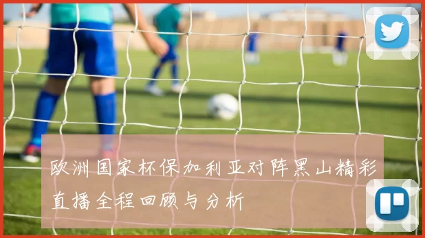 欧洲国家杯保加利亚对阵黑山精彩直播全程回顾与分析