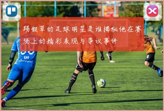 踢假草的足球明星是谁揭秘他在赛场上的精彩表现与争议事件