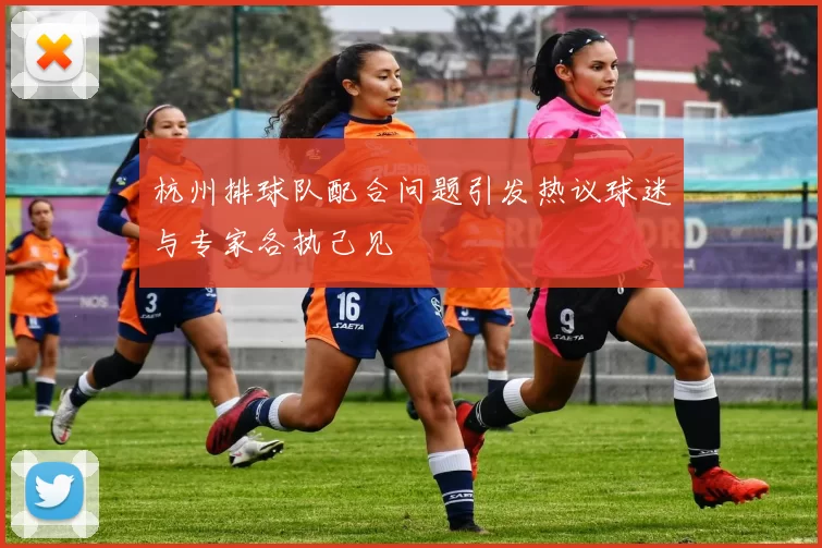 杭州排球队配合问题引发热议球迷与专家各执己见