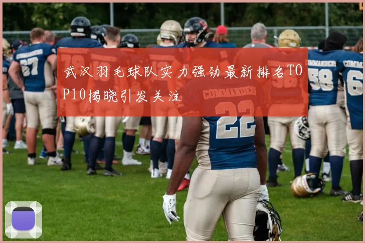 武汉羽毛球队实力强劲最新排名TOP10揭晓引发关注